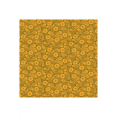 Local Honey Primrose - 90660